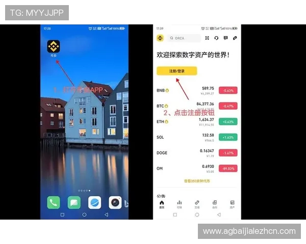 多宝真人官网入口安全登录流程及账号保护措施详解