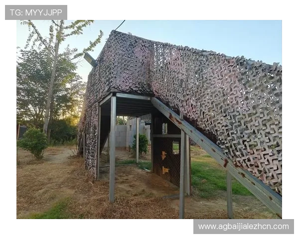 如何解决ku真人会员登录失败问题提供详细步骤和常见问题解决方案 如何解决ku真人会员登录失败问题提供详细步骤和常见问题解决方案