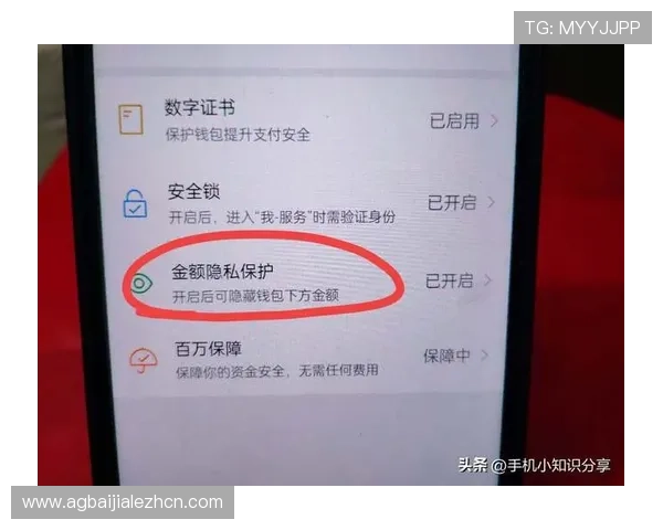 开元棋牌国际首页安全支付方式,保障每一笔交易的安全与便捷 开元棋牌国际首页安全支付方式,保障每一笔交易的安全与便捷