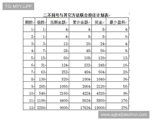 百家乐平注的优势与风险分析帮助玩家制定科学的投注计划
