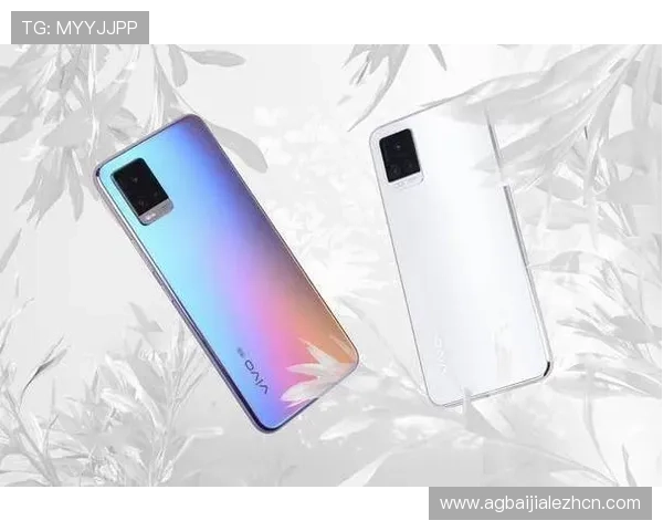 详细分析旗舰厅ag登录线路的优化方案，提高登陆体验的实用指南